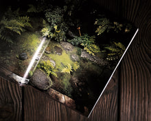 Load image into Gallery viewer, “Chanoyu: Japanese Tea Ceremony” by Hayashiya Seizo